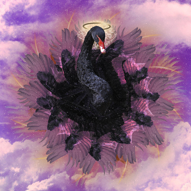 Svarte Svaner — Plakat